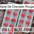 Red Knight Sex 19